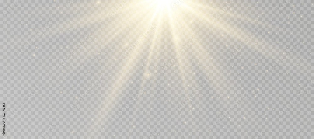 Wall mural yellow glowing light explodes on a transparent background. sparkling magical dust particles. bright 