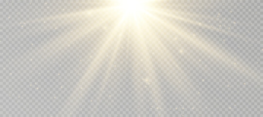 Yellow glowing light explodes on a transparent background. Sparkling magical dust particles. Bright Star. Transparent shining sun, bright flash. Vector sparkles.
