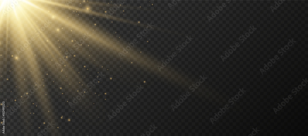 Wall mural yellow glowing light explodes on a transparent background. sparkling magical dust particles. bright 