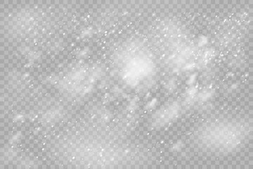 Christmas snowflakes on a transparent background. Snow flakes, snow background. Heavy snowfall, snowflakes in different shapes and forms.