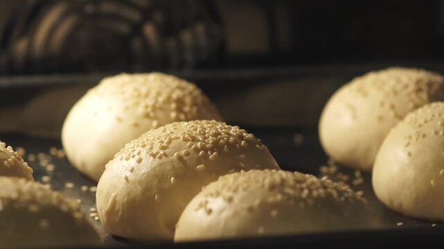 Freshly baked buns with sesame seeds on a tray in an oven, golden-brown crust, homemade bakery concept