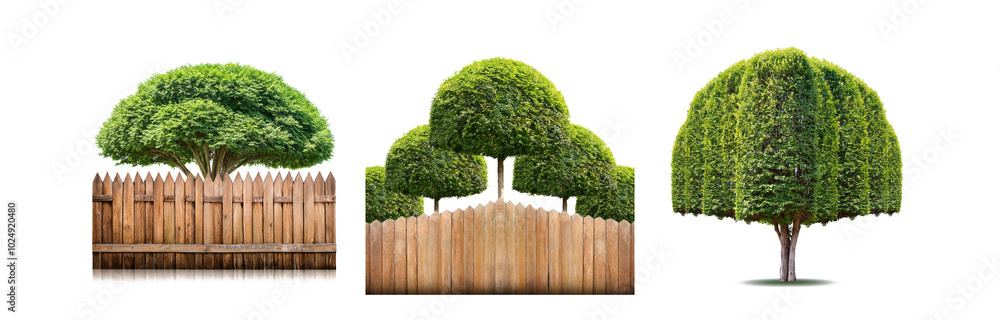 Aufkleber three images of trees, one with a wooden fence, one with a similar fence and two bushes behind it, a