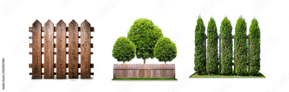 Poster Three different wooden fences with varying styles, each with a unique plant selection in front of them.