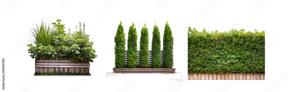 Poster three different types of green plants in pots and planters set against a white background.