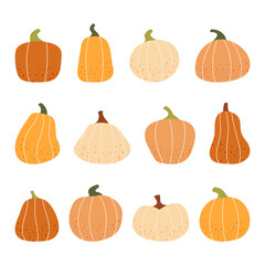 Pumpkins with Texture in Flat Style Vector Illustration