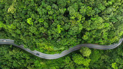Top view road in beautiful autumn forest at sunset, trees with red and orange leaves , Beautiful landscape view from flying drone in Nature