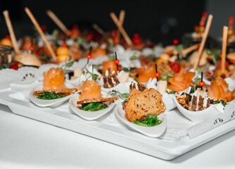 Gourmet appetizer selection with smoked salmon and veggies on elegant white plates