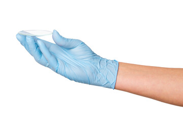 Hand in medical gloves holding a small Petri dish on an empty background. Laboratory use, microbiology, scientific research.