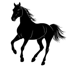 "Silhouette of Fast Running Wild Horse"

