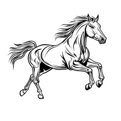 "Silhouette of Fast Running Wild Horse"

