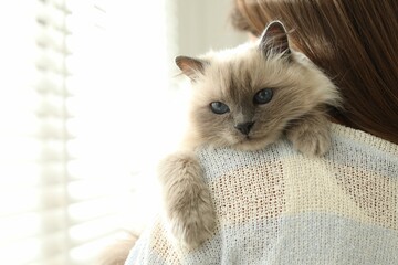 Fototapeta na wymiar Woman with cute kitten near window at home, closeup. Space for text