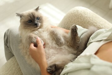 Woman with cute kitten at home, closeup