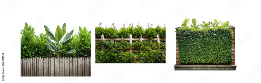 Poster three different types of fences with lush greenery, isolated on a white background.