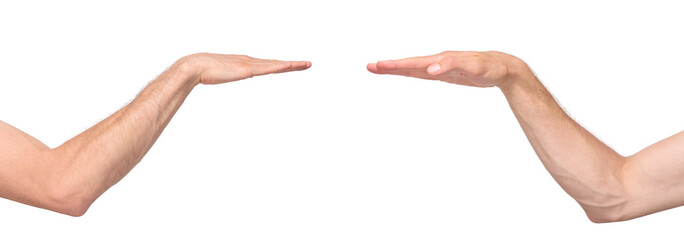 Two sides of male arm bent at the elbow with the palm facing down, as a sign of measuring height, isolated on transparent background, png file	
