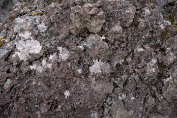 Close up of natural texture, color and shape from Iceland. Beautiful abstract and artistic nature for background.