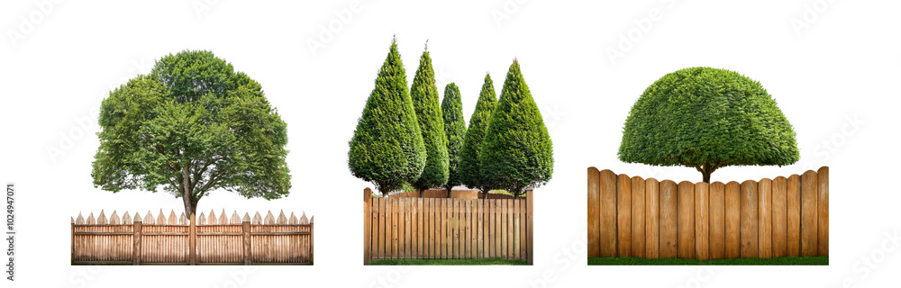 Poster three different styles of wooden fences with green trees and shrubs in front.