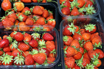 Crop of lot of ripe strawberries in plastic containers as food background on store counter close up