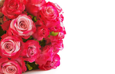 A bouquet of pink roses isolated on white background, display concept