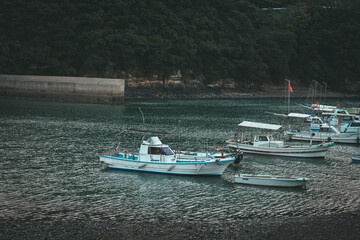 Obraz premium 港町の風景