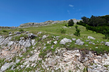 Bergsteppe in den Dinarischen Alpen, Crveni Kuk, Bosnien-Herzegowina // Mountain steppe in the...
