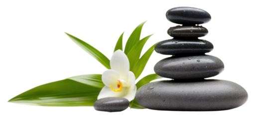 PNG Flower plant spa relaxation.