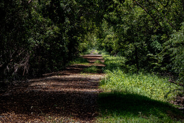 camino verde natural