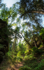 Wandern in der Sächsischen Schweiz