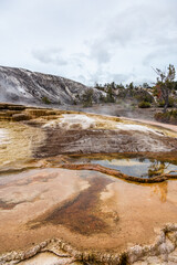 Scenic View of Yellowstone National Park's Geothermal Landscape in Wyoming, USA with Steaming Terraces and Unique Geological Formations