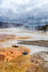 Dramatic Geothermal Landscape at Mammoth Hot Springs, Yellowstone, Wyoming, USA Featuring Colorful Terraces and Hot Steam Under Cloudy Gray Skies