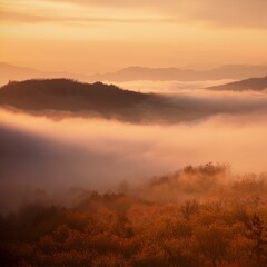 Landscape of a big forest