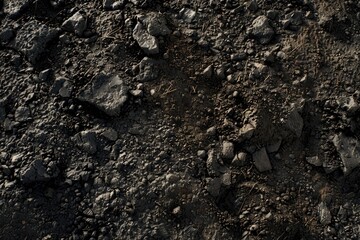 Fototapeta premium Black soil texture