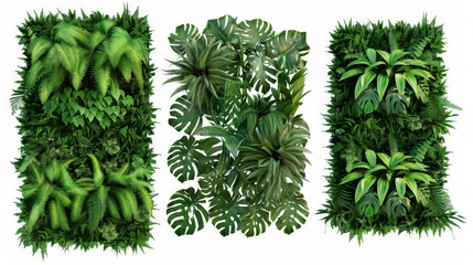 set of green garden walls with tropical plants