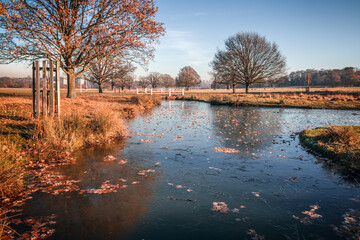 Frozen pond in Richmond Park, London during winter