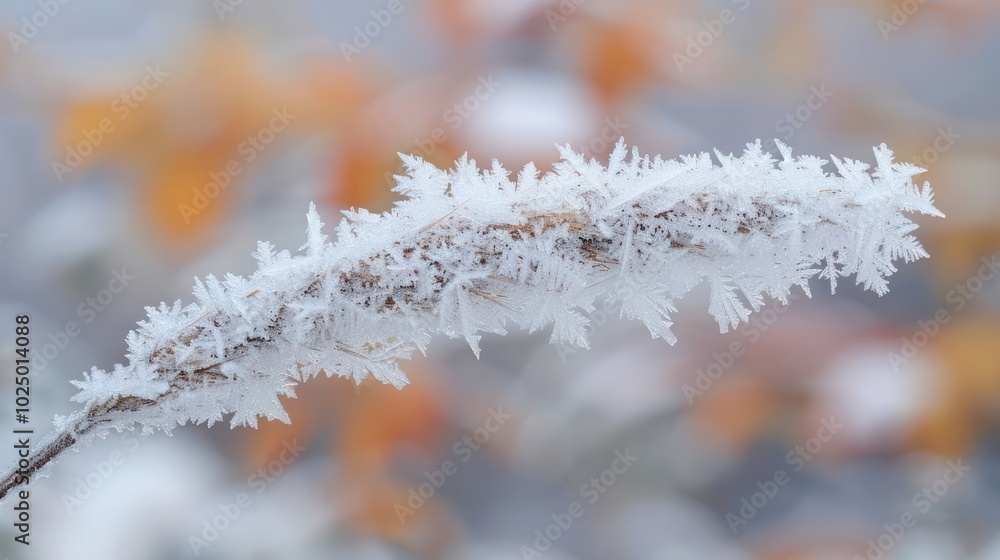 Poster a close-up of a branch covered in frost with a blurred background of fall foliage.