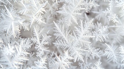 Close-up of delicate white frost crystals forming a mesmerizing abstract pattern.