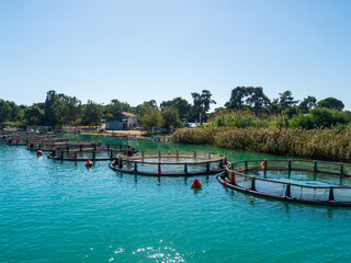 River Manavgat fish farming