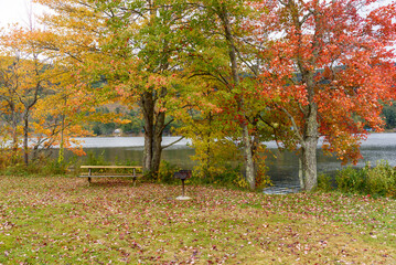 Empty picninc table and a barbeque grill under colourful trees on the shore of a mountain lake on a...