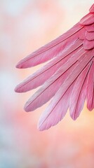 Naklejka premium Delicate pink feathers against a soft blurred background.