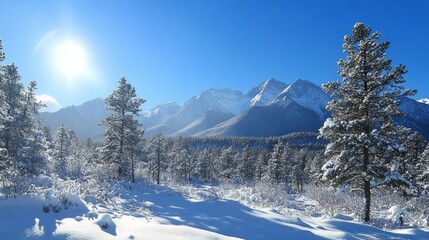 Obraz premium Sunlit Peaks and Snowy Pines A Majestic Mountain Range