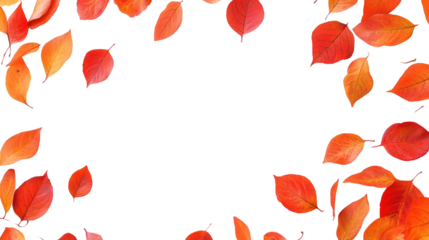 Autumn background leaf blossom flower.