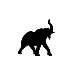 View of elephant silhouette on white background