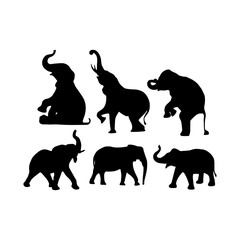 View of elephant silhouette on white background