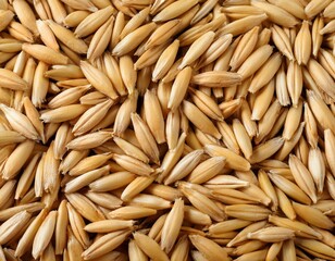 Full frame of oats background