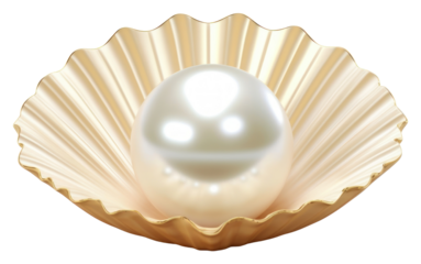 PNG Pearl pearl seashell jewelry.