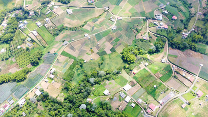 aerial view of farms