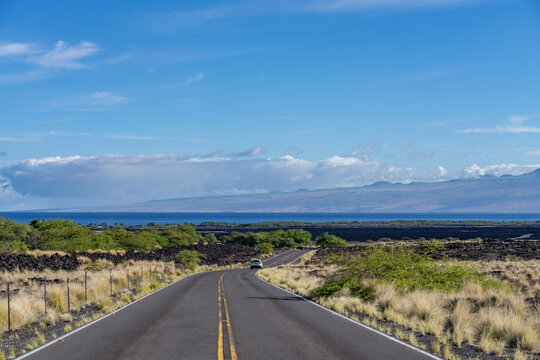 Pahoehoe 1,500-3,000 yr Lava flows, Hualalai Volcanics, Kalaemano Dr, Kona, Hawaii island. Cenchrus setaceus,crimson fountaingrass, In the distance Kohala is a old Shield volcano