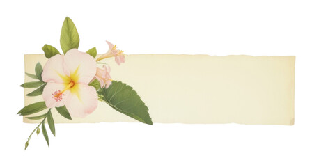 Obraz premium PNG Tropical flowers plant petal leaf.