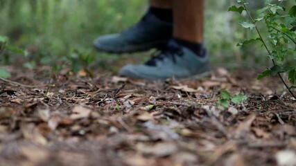 Person collecting garbage from the forest.