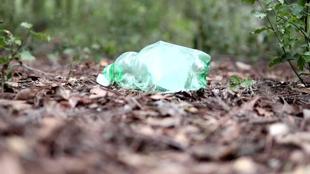 Person throwing plastic bottle in the forest.