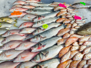 Fresh fish and seafood for sale in St George's Market, Belfast Northern Ireland. 